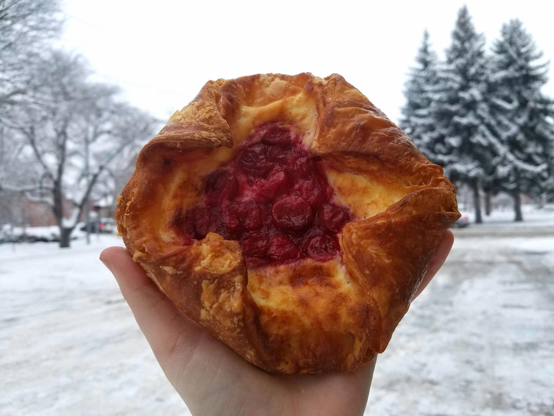 Cherry danish held up on a snowy day